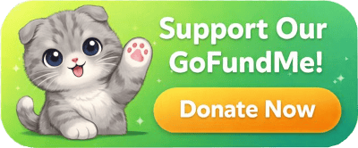 Help Leaya Fight A Cruel Genetic Disease